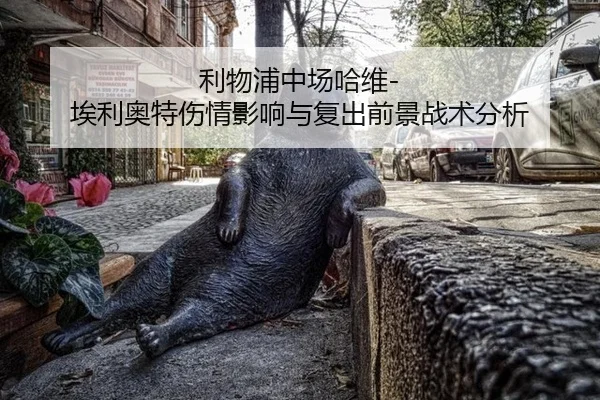 利物浦中场哈维-埃利奥特伤情影响与复出前景战术分析