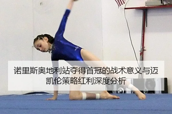 nuo-li-si-ao-di-li-zhan-duo-de-shou-guan-de-zhan-shu-yi-yi-yu-mai-kai-lun-ce-lve-hong-li-shen-du-fen-xi-3-290.jpg