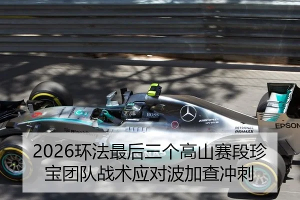 2026环法最后三个高山赛段珍宝团队战术应对波加查冲刺