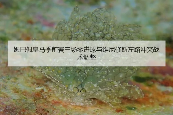 mu-ba-pei-huang-ma-ji-qian-sai-san-chang-ling-jin-qiu-yu-wei-ni-xiu-si-zuo-lu-chong-tu-zhan-shu-tiao-zheng-3-758.jpg